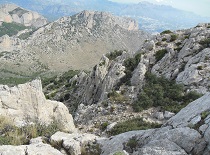 RUTA 14 FINESTRAT PER MARGOCH
